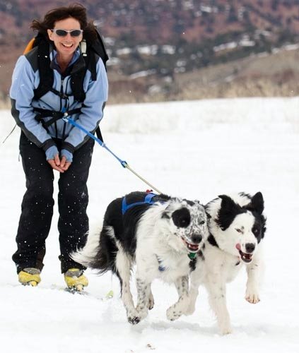 Skijoring women and dogs